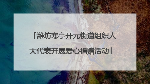 潍坊寒亭开元街道组织人大代表开展爱心捐赠活动