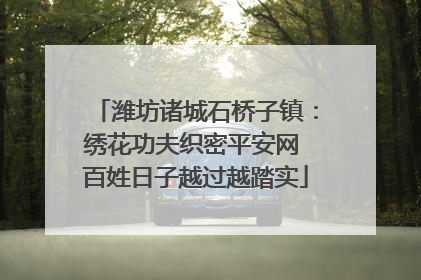 潍坊诸城石桥子镇：绣花功夫织密平安网 百姓日子越过越踏实