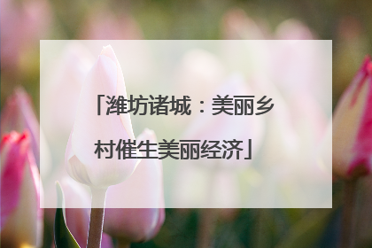 潍坊诸城：美丽乡村催生美丽经济