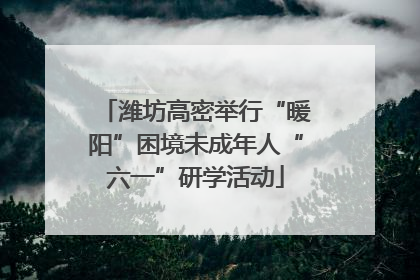 潍坊高密举行“暖阳”困境未成年人“六一”研学活动
