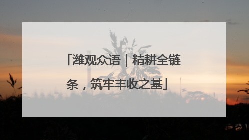潍观众语｜精耕全链条，筑牢丰收之基