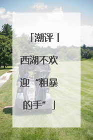 潮评丨西湖不欢迎“粗暴的手”
