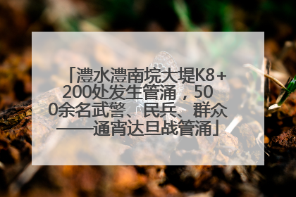 澧水澧南垸大堤K8+200处发生管涌，500余名武警、民兵、群众——通宵达旦战管涌