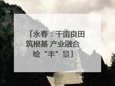 永春：千亩良田筑根基 产业融合绘“丰”景