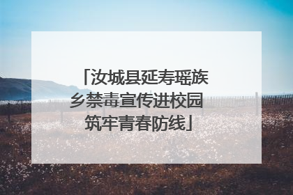 汝城县延寿瑶族乡禁毒宣传进校园 筑牢青春防线