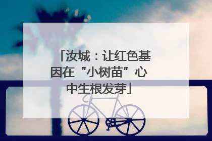 汝城：让红色基因在“小树苗”心中生根发芽