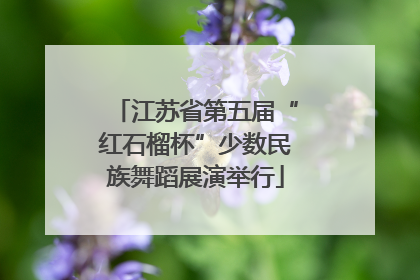 江苏省第五届“红石榴杯”少数民族舞蹈展演举行