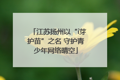 江苏扬州以“i芽护苗”之名 守护青少年网络晴空