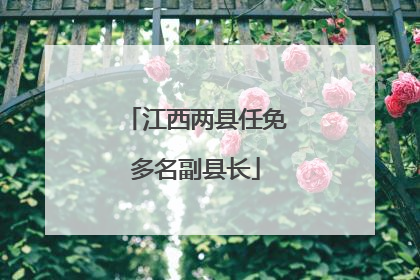 江西两县任免多名副县长