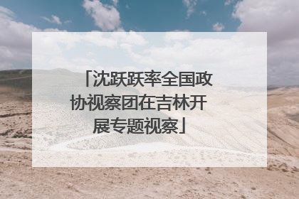 沈跃跃率全国政协视察团在吉林开展专题视察