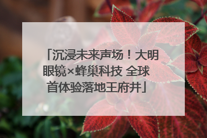 沉浸未来声场！大明眼镜×蜂巢科技 全球首体验落地王府井