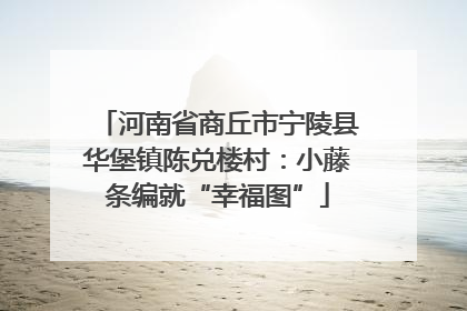 河南省商丘市宁陵县华堡镇陈兑楼村：小藤条编就“幸福图”