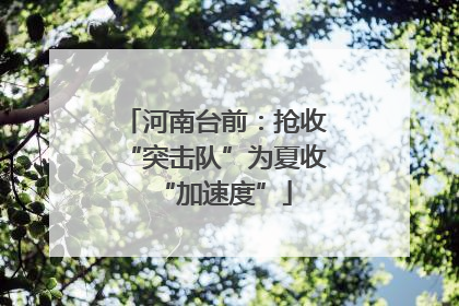 河南台前：抢收“突击队”为夏收“加速度”