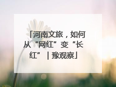 河南文旅，如何从“网红”变“长红”｜豫观察