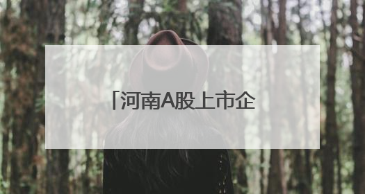 河南A股上市企业达111家 制造业占比超七成