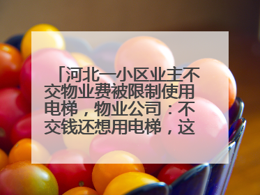 河北一小区业主不交物业费被限制使用电梯，物业公司：不交钱还想用电梯，这钱谁出？