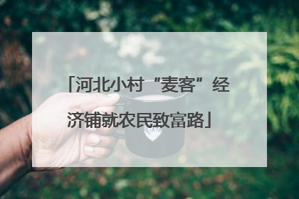 河北小村“麦客”经济铺就农民致富路