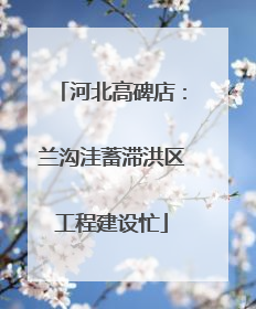 河北高碑店：兰沟洼蓄滞洪区工程建设忙
