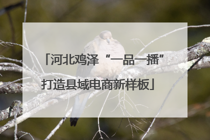 河北鸡泽“一品一播”打造县域电商新样板