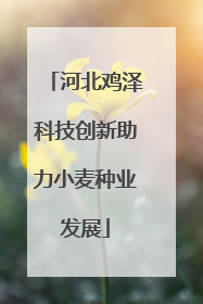 河北鸡泽科技创新助力小麦种业发展