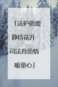 法护蓓蕾静待花开 司法育苗情暖童心