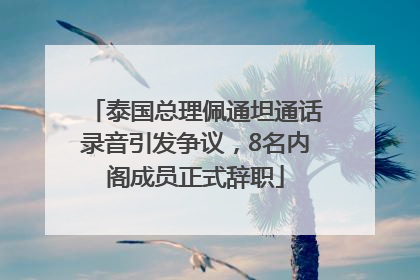 泰国总理佩通坦通话录音引发争议，8名内阁成员正式辞职