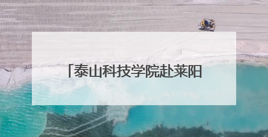 泰山科技学院赴莱阳开展暑期“三下乡”社会实践公益志愿活动