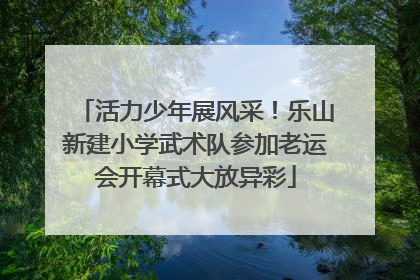活力少年展风采！乐山新建小学武术队参加老运会开幕式大放异彩