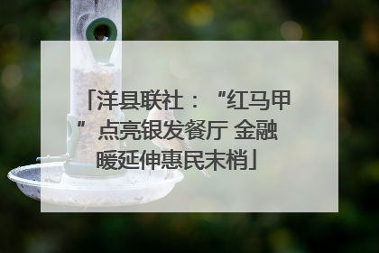 洋县联社：“红马甲”点亮银发餐厅 金融暖延伸惠民末梢