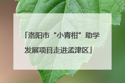 洛阳市“小青柑”助学发展项目走进孟津区