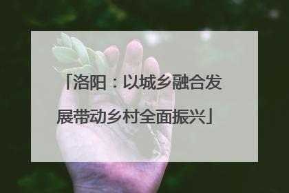 洛阳：以城乡融合发展带动乡村全面振兴