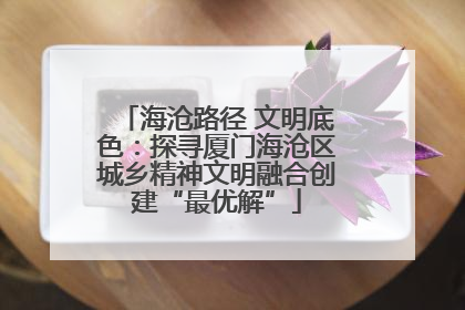 海沧路径 文明底色：探寻厦门海沧区城乡精神文明融合创建“最优解”