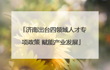 济南出台四领域人才专项政策 赋能产业发展