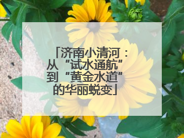 济南小清河：从“试水通航”到“黄金水道”的华丽蜕变
