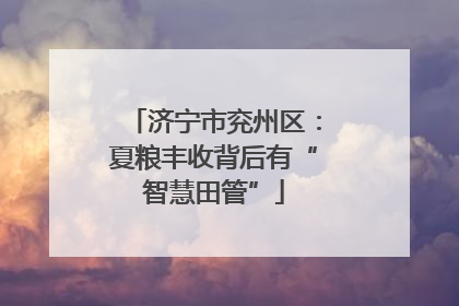 济宁市兖州区：夏粮丰收背后有“智慧田管”