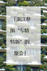 浙江参加“专精特新”的聚会