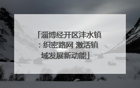 淄博经开区沣水镇：织密路网 激活镇域发展新动能