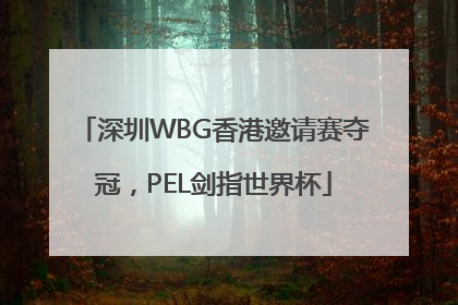 深圳WBG香港邀请赛夺冠，PEL剑指世界杯