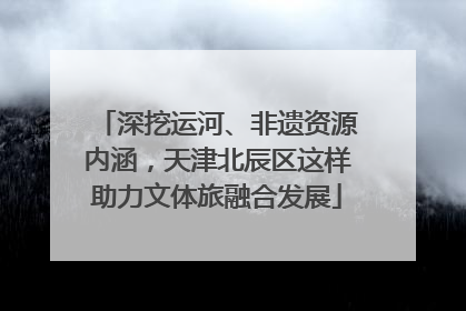 深挖运河、非遗资源内涵，天津北辰区这样助力文体旅融合发展