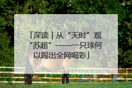深读｜从“天时”观“苏超”——一只球何以踢出全网喝彩