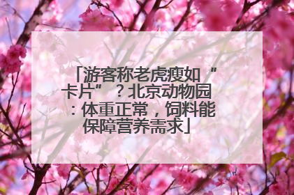 游客称老虎瘦如“卡片”？北京动物园：体重正常，饲料能保障营养需求