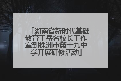 湖南省新时代基础教育王岳名校长工作室到株洲市第十九中学开展研修活动