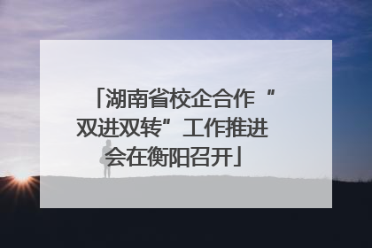 湖南省校企合作“双进双转”工作推进会在衡阳召开