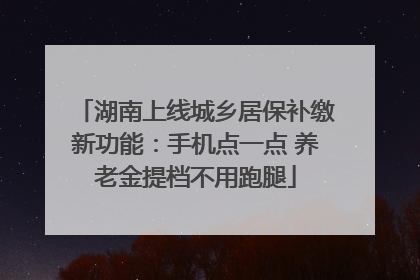 湖南上线城乡居保补缴新功能：手机点一点 养老金提档不用跑腿