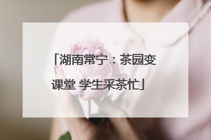 湖南常宁：茶园变课堂 学生采茶忙