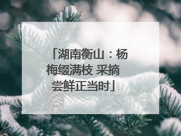 湖南衡山：杨梅缀满枝 采摘尝鲜正当时