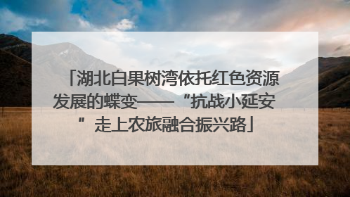 湖北白果树湾依托红色资源发展的蝶变——“抗战小延安”走上农旅融合振兴路