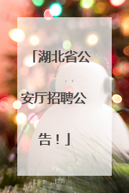 湖北省公安厅招聘公告！