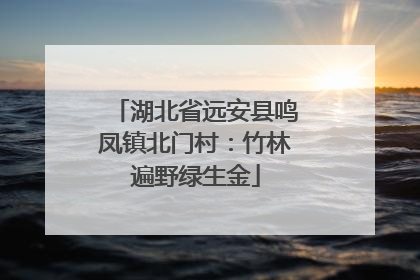 湖北省远安县鸣凤镇北门村：竹林遍野绿生金