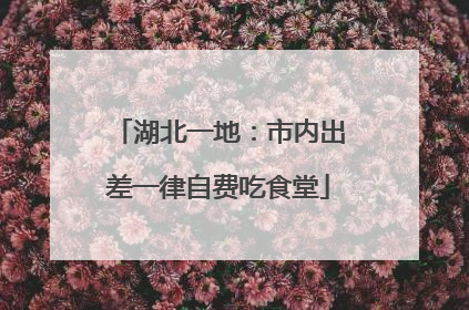 湖北一地：市内出差一律自费吃食堂